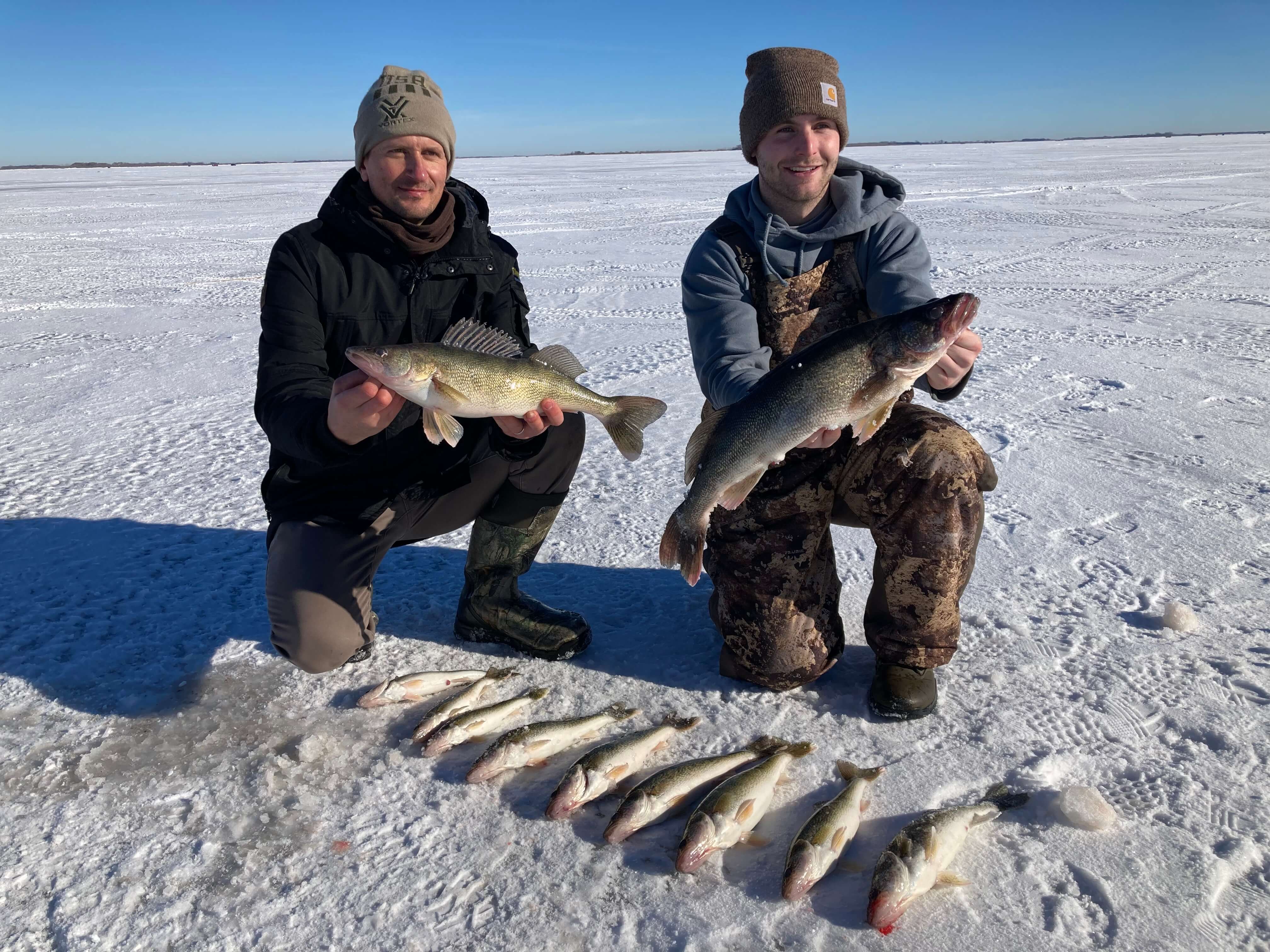 Two anglers with walleyes on ice fishing trip