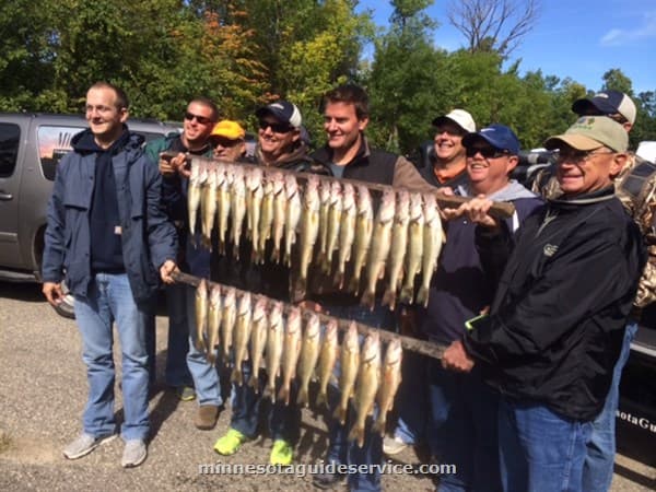Angler holding walleye on guided trip