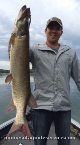 Musky caught on a guided fishing trip
