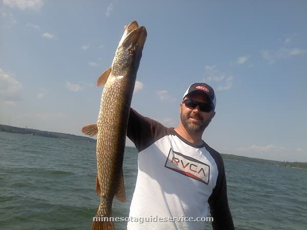 Northern pike caught on Minnesota lake