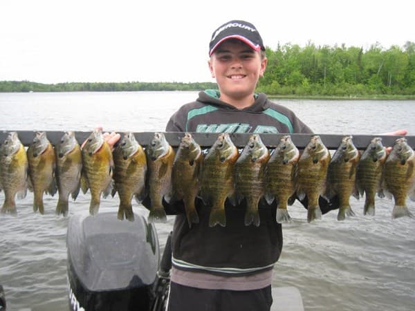 Crappie and bluegill on the boat
