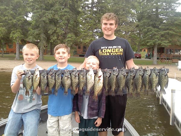 Panfish caught on guided trip