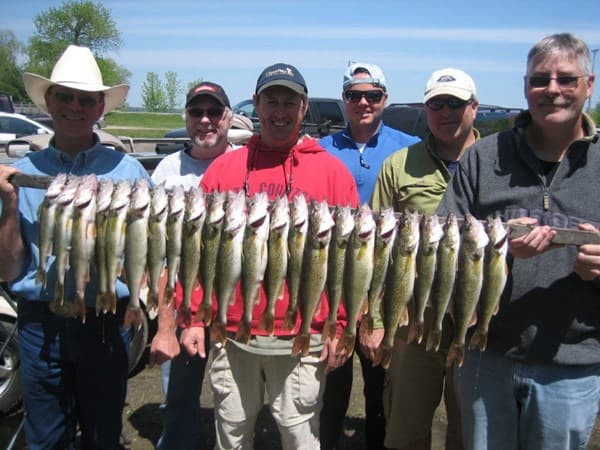 Client with walleye catch of the day
